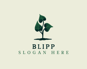 Eco Plant Leaves Logo