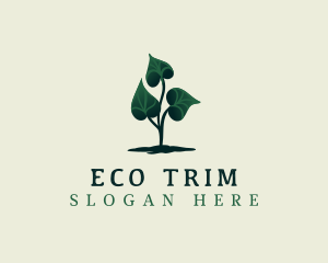 Eco Plant Leaves logo design