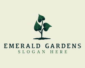 Eco Plant Leaves logo design