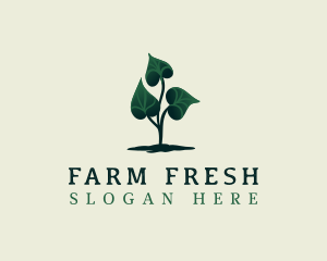 Eco Plant Leaves logo design