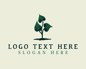 Eco Plant Leaves Logo