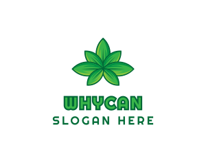 Green Cannabis Weed Leaf logo design