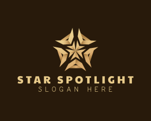 Professional Star Startup logo design