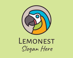 Feathers - Colorful Tropical Parrot Bird logo design