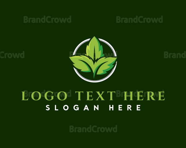 Herb Leaf Plant Logo