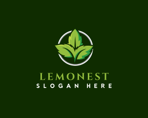 Agriculture - Herb Leaf Plant logo design