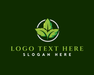 Herb Leaf Plant Logo