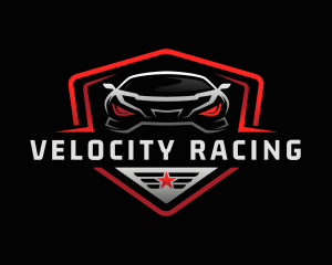 Transport Race Car  logo design