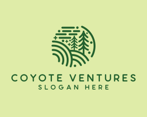 Nature Pine Forest  logo design