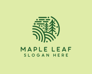 Nature Pine Forest  logo design