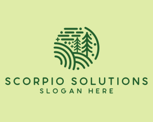 Nature Pine Forest  logo design