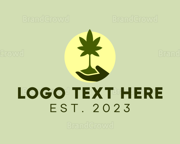 Marijuana Plant Seedling Logo