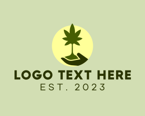 Drugs - Marijuana Plant Seedling logo design