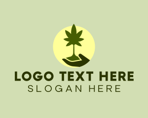 Marijuana Plant Seedling  Logo