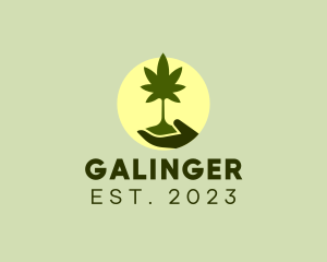Dispensary - Marijuana Plant Seedling logo design