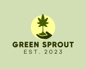 Seedling - Marijuana Plant Seedling logo design