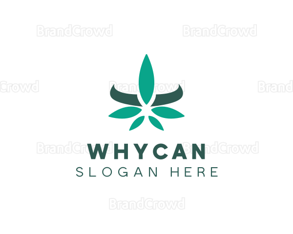 Modern Cannabis Leaf Logo