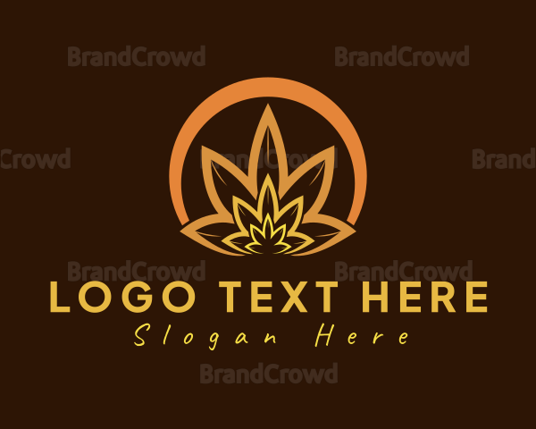 Organic Orange Herb Logo