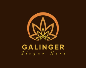 Grass - Organic Orange Herb logo design
