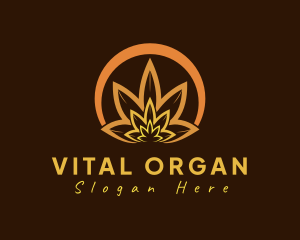 Organic Orange Herb logo design