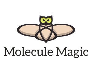 Molecule - Owl Atom Wings logo design