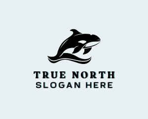 Canada - Orca Sea Animal logo design