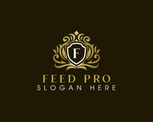 Royal Elegant Shield Crown logo design