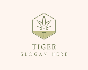 Cbd - Marijuana Herbal Medicine logo design