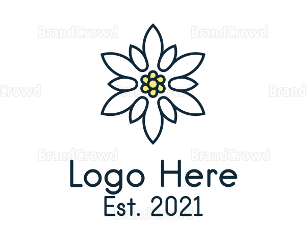 Daisy Flower Boutique Logo