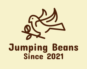 Dove Bean Branch  logo design