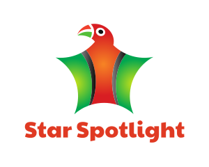 Colorful Parrot Star logo design