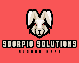 Wild Hare Rabbit logo design