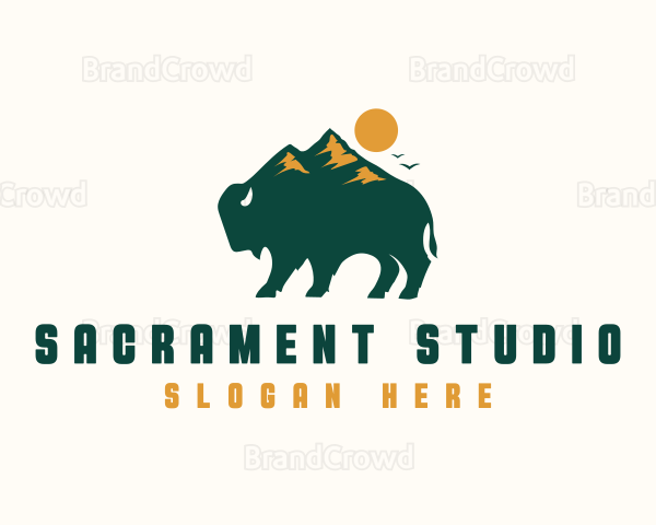 Bison Mountain Adventure Logo