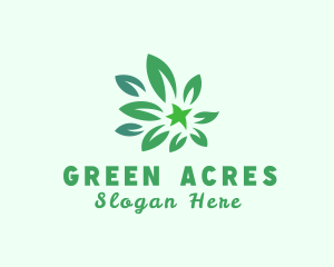 Green Natural Leaves logo design