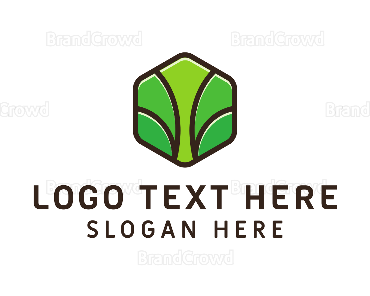 Eco Brand Logo