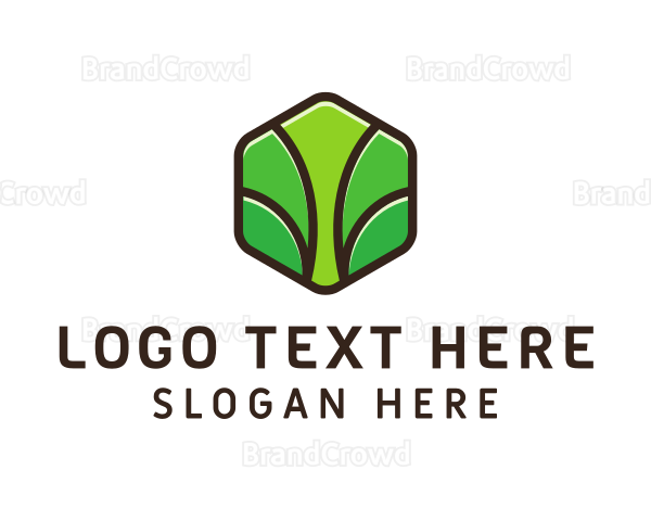 Organic Leaf Spa Logo