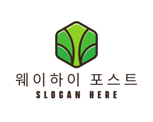 Organic Leaf Spa logo design