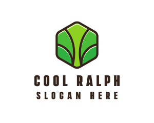 Organic Leaf Spa logo design