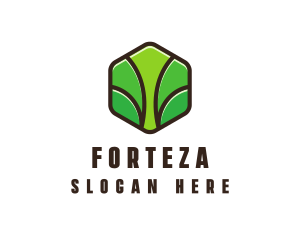 Organic Leaf Spa logo design