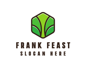 Organic Leaf Spa logo design