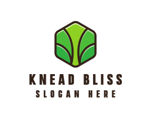 Organic Leaf Spa logo design