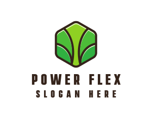 Organic Leaf Spa logo design