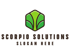 Organic Leaf Spa logo design