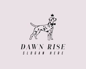 Pet Dalmatian Dog logo design