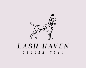 Pet Dalmatian Dog logo design