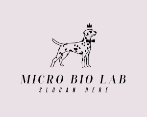 Pet Dalmatian Dog logo design