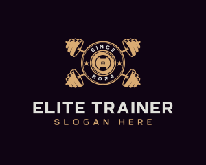 Barbell Fitness Training logo design