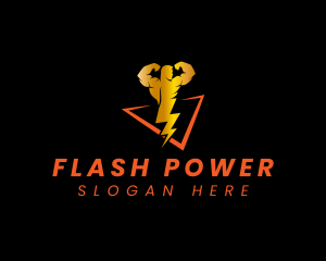 Lightning Power Electrician logo design