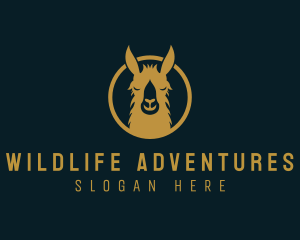 Llama Animal Wildlife logo design