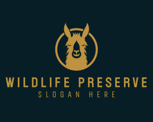 Llama Animal Wildlife logo design